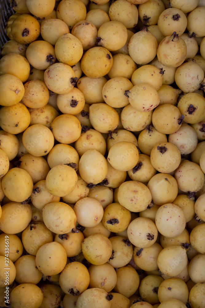 yellow guavas on the shelf of a supermarket or grocery store. Typical tropical fruit in Latin America, rich in vitamins c yellow guavas on the shelf of a supermarket or grocery store. Typical tropical fruit in Latin America, rich in vitamins c