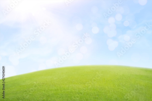 Green lawn and blue sky