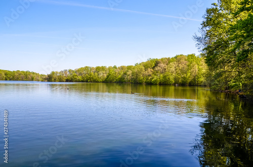 Beautiful blue lake with trees in Virginia America