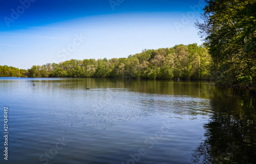 Beautiful blue lake with trees in Virginia America
