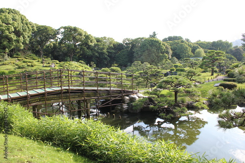 緑豊かな庭園