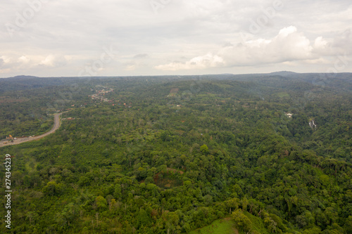 Aerial View of Rain Forest in Boleven Highland  Champasak  Lao PDR