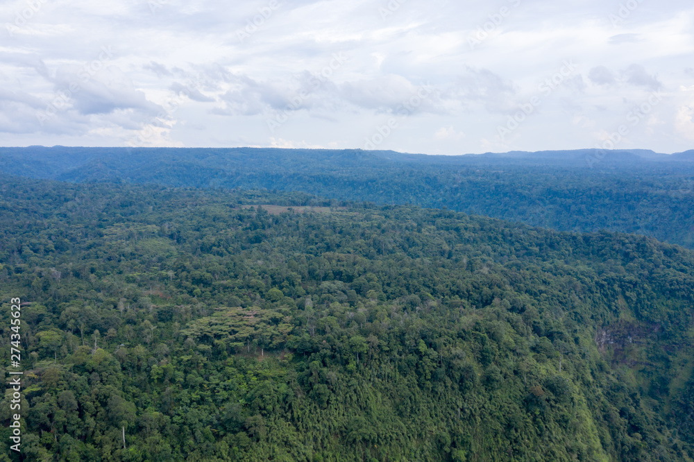 Aerial View of Rain Forest in Boleven Highland, Champasak, Lao PDR