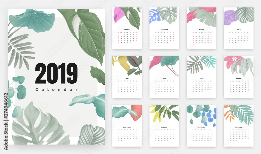 2019 calendar design, set of botanical illustrations for 12 months