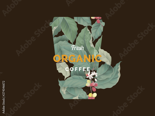 Organic coffee banner templ...