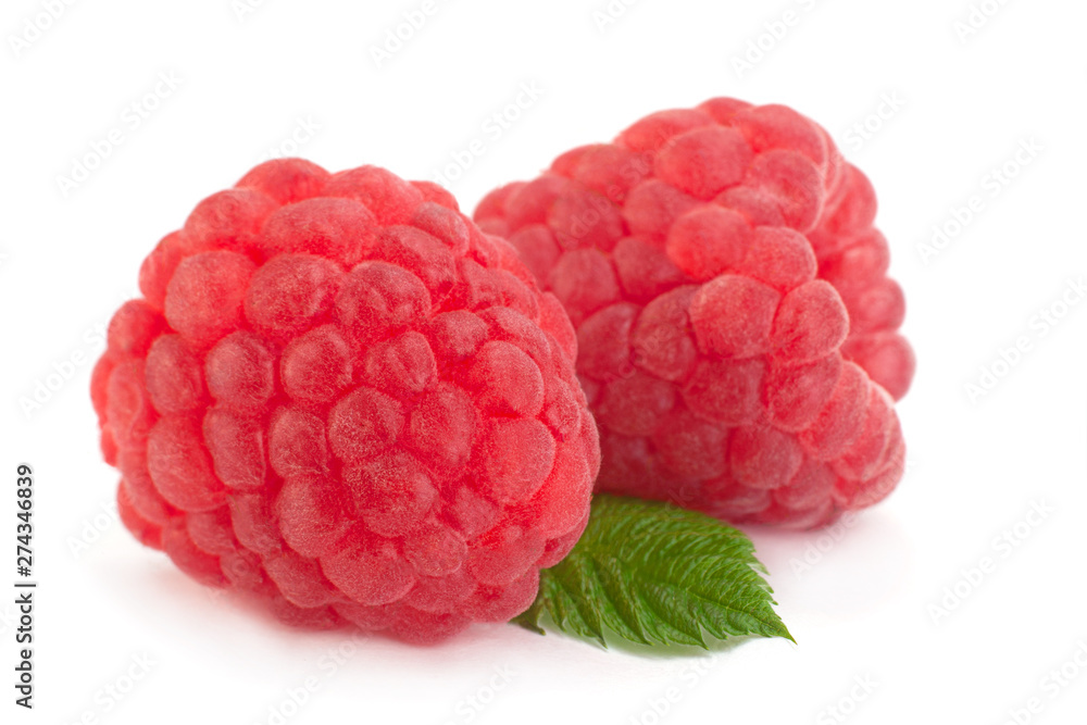 Raspberry fruit closeup Raspberry fruit closeup