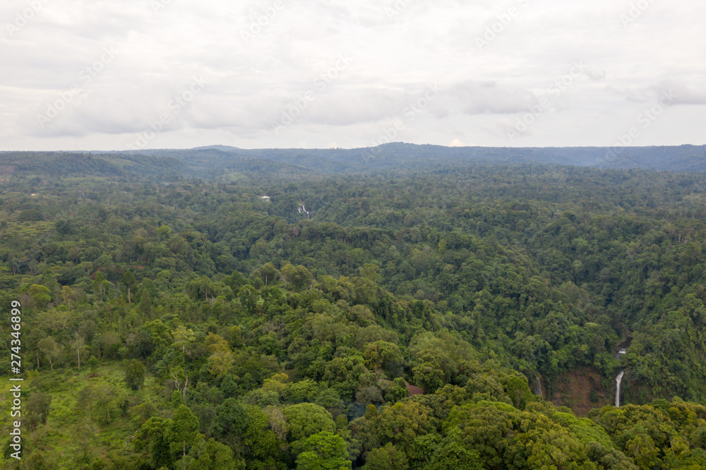 Aerial view of rain forest in Laos
