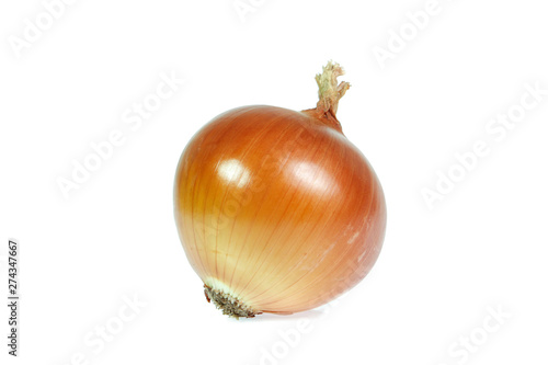 Wallpaper Mural onion isolated on white background Torontodigital.ca