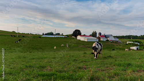 Dairy farm in Appalachia