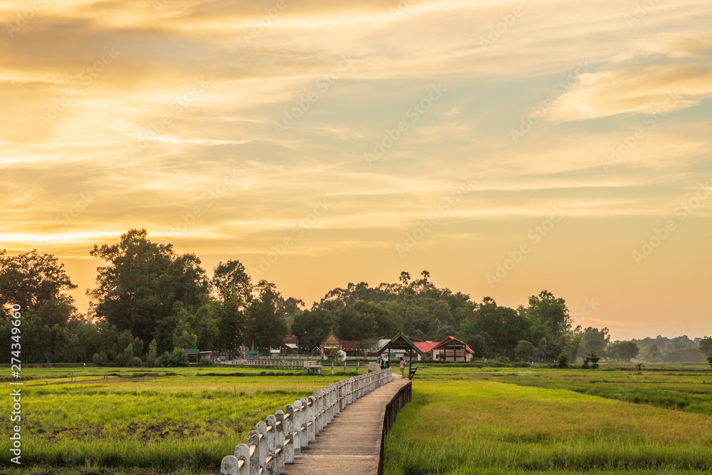 Fototapeta premium landscape with road