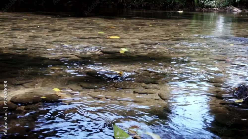 Still of water in a river Still of water in a river