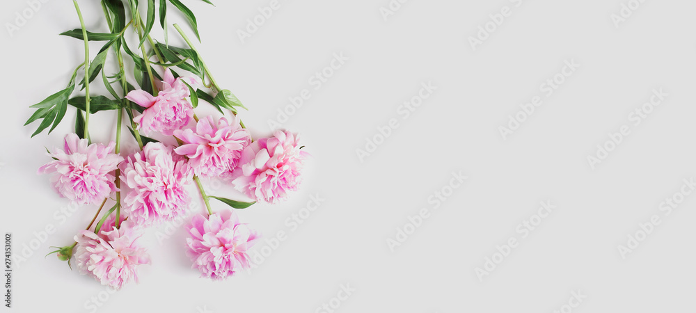 beautiful bouquet of peonies on a white background. space for text. flat lay, long banner