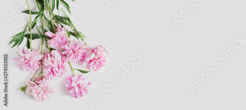 beautiful bouquet of peonies on a white background. space for text. flat lay  long banner