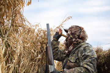 the hunter hides in the reeds and lures the ducks