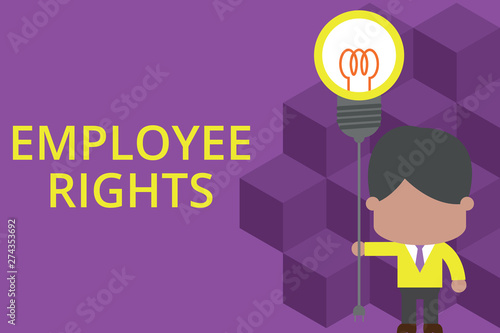 Handwriting text writing Employee Rights. Conceptual photo All employees have basic rights in their own workplace Standing man tie holding plug socket light bulb to connect idea. Startup photo