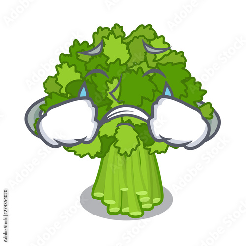 Crying rabe broccoli in vegetable mascot basket