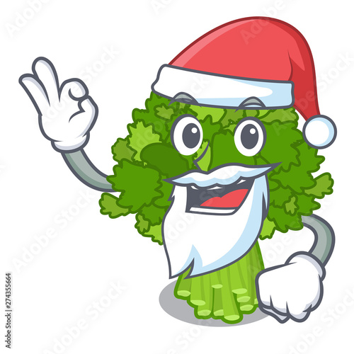 Santa saute broccoli rabe above cartoon plate