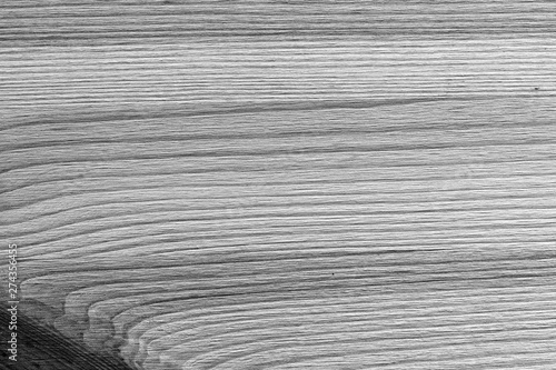 Texture of wood close up. Monochrome wooden background
