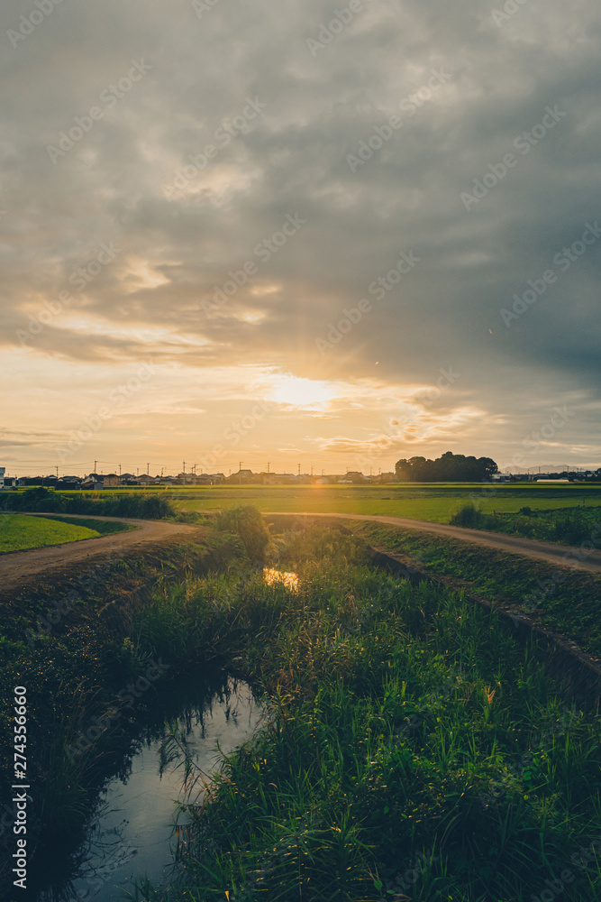 Obraz premium Orange sun and small river