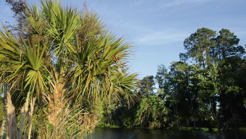 Silver Springs state park on a beautiful sunny day. Silver Springs state park on a beautiful sunny day.