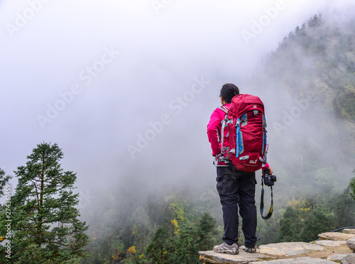 A trekker looking at the misty forest