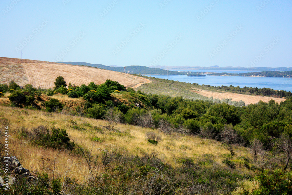 Dalmatian landscape with mountains and Adriatic Sea in wild bushes mastic tree.