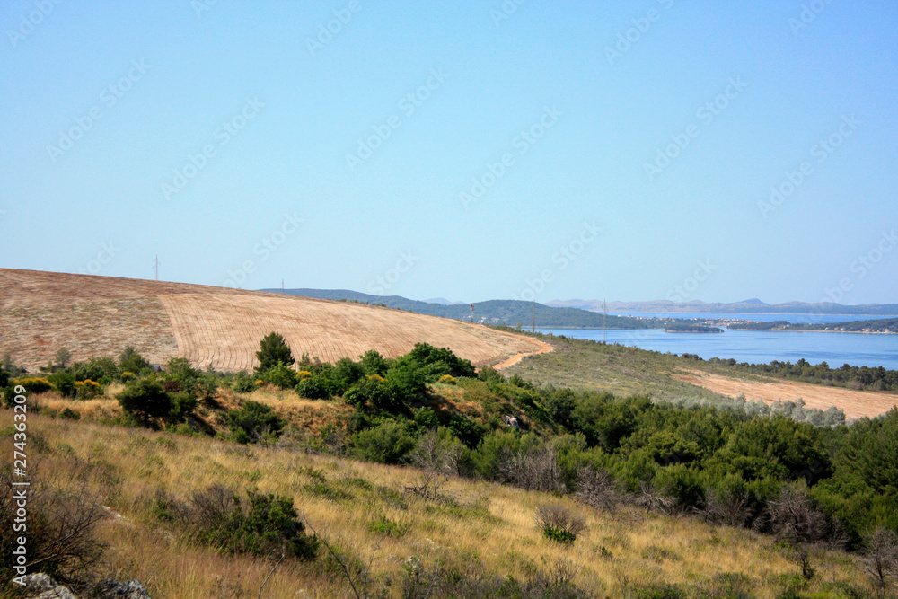 Dalmatian landscape with mountains and Adriatic Sea in wild bushes mastic tree.