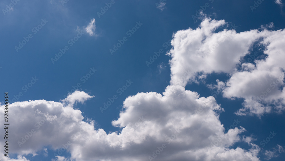 Fototapeta premium 爽やかな青空と空の雲