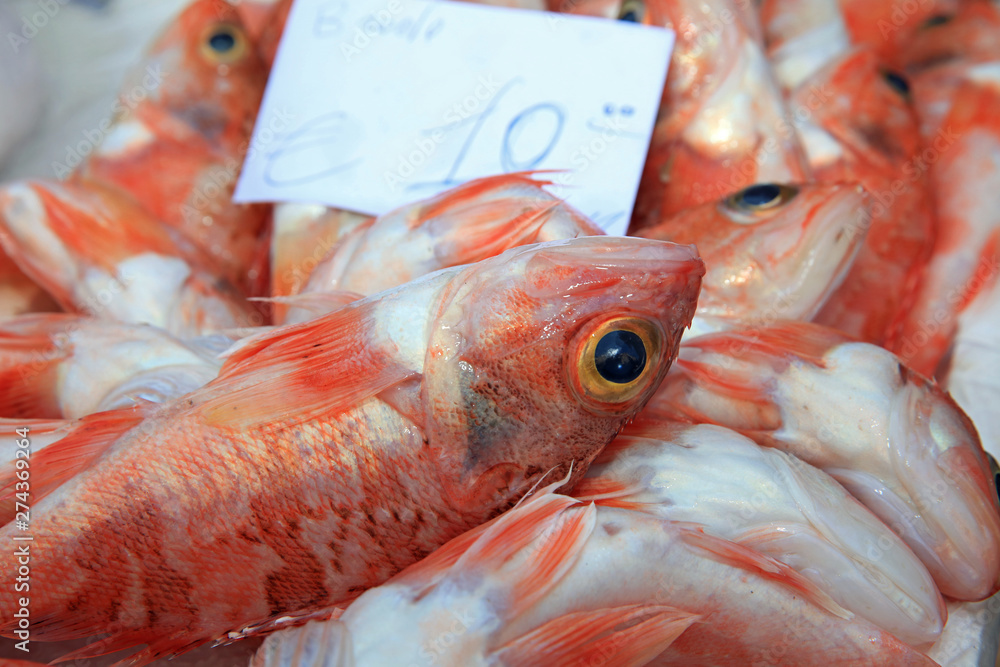 Fischmarkt in Catania. Sizilien. Italien