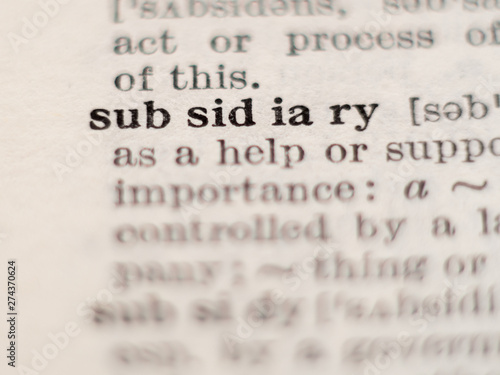 Fotografie Dictionary definition of word subsidiary, selective focus.