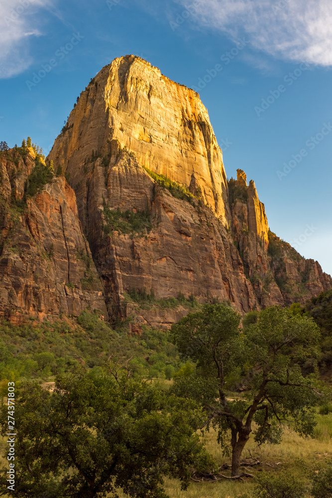 A portrait view of the amazing landscape from the canyon floor at Zion National Park, USA against a beautiful bright blue sky