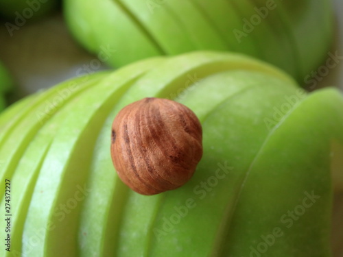 Hazelnut on the background of apples. photo