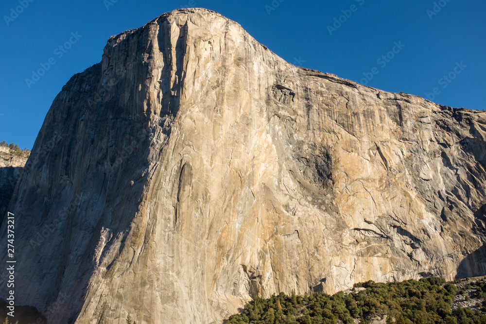 A landscape view of the amazing El Capitan from the canyon floor at Yosemite National Park, USA against a beautiful bright blue sky nobody in the image