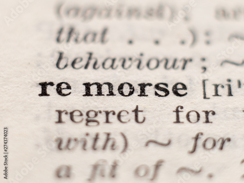 Canvas Print Dictionary definition of word remorse, selective focus.