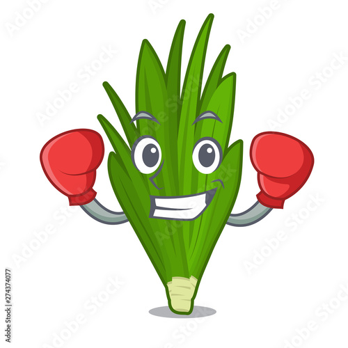 Boxing pandan leaves isolated in the cartoon