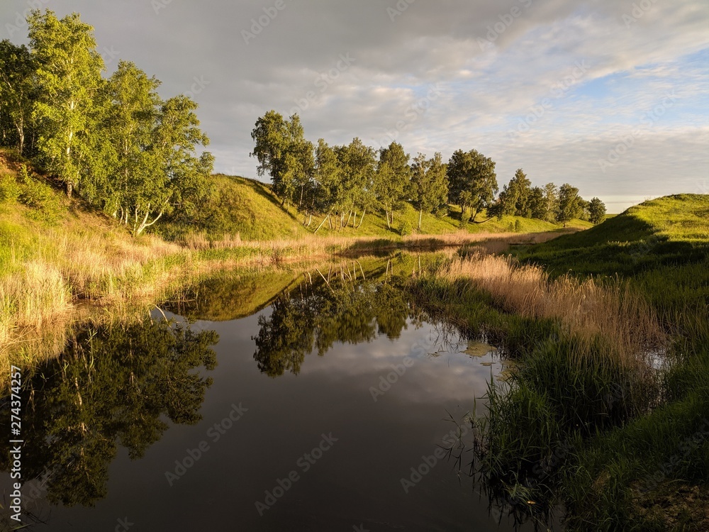 Fototapeta premium lake in forest