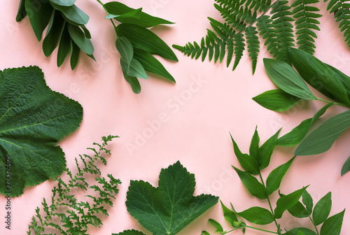 Fototapeta Naklejka Na Ścianę i Meble -  Green Leaves