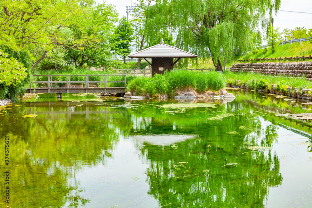 Obraz premium 安曇野わさび田湧水群公園、長野県安曇野市にて