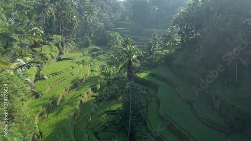 4K Tegalalang rice terraces in Ubud Bali. Shot with DJI Mavic 2 pro photo