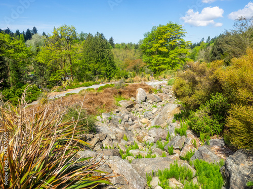 Washington Park Arboretum photo