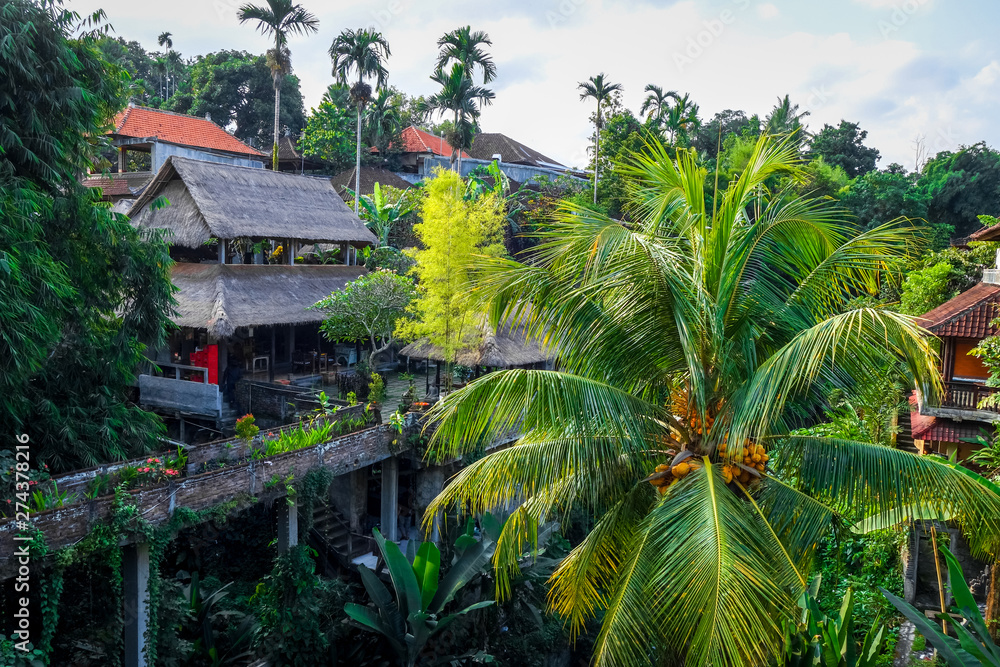 Houses in jungle, Ubud, Bali, Indonesia Houses in jungle, Ubud, Bali, Indonesia