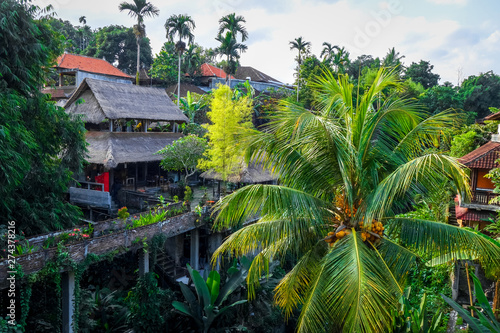 Houses in jungle, Ubud, Bali, Indonesia
