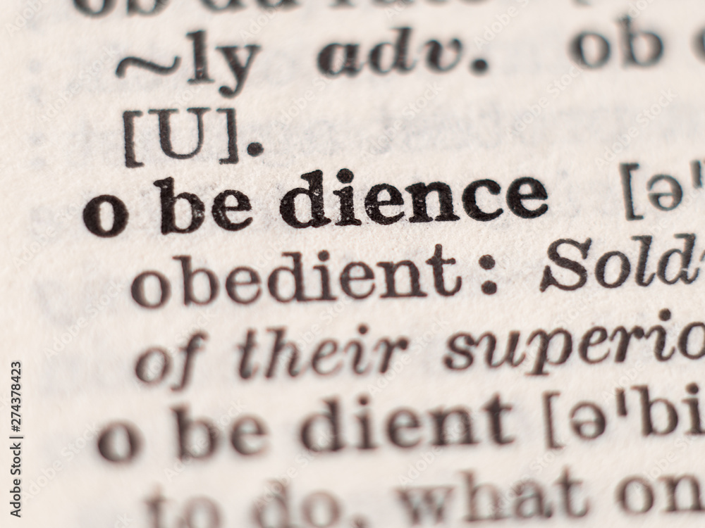 Dictionary definition of word obedience, selective focus. Dictionary definition of word obedience, selective focus.