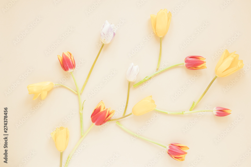 Obraz premium Flowers