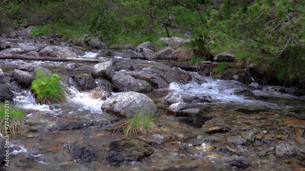 Abounding mountain creek from a Pyrenees mountain in Spain Abounding mountain creek from a Pyrenees mountain in Spain