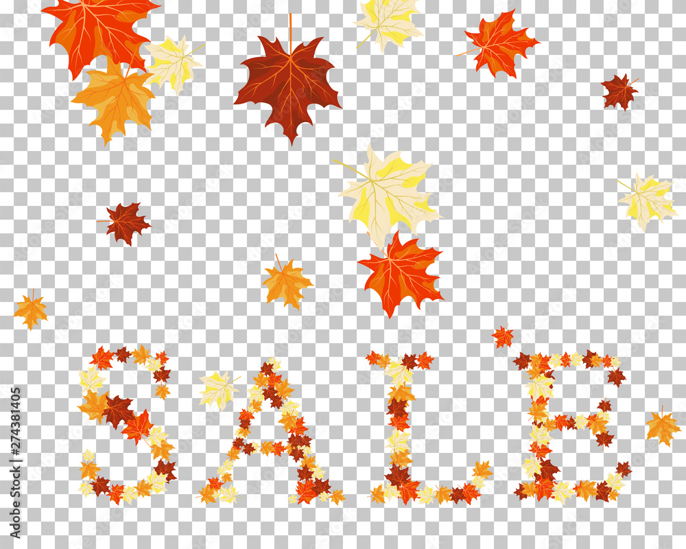 Falling maple leaves Falling maple leaves