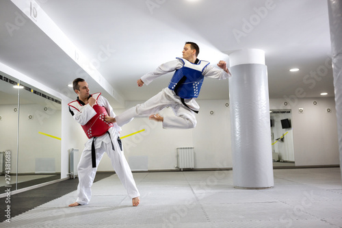 Two sportsman practicing taekwondo while training together photo