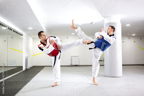 Two guys in a taekwondo combat photo