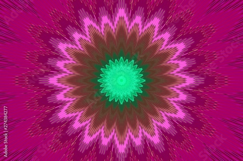 Obraz na płótnie flower pattern floral kaleidoscope amaranth. pink.
