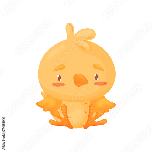 Cute yellow chick is sitting. Vector illustration on white background.